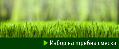 3 лесни стъпки за съвършена трева