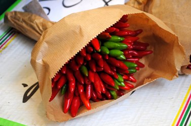 Засейте си декоративни чушчици в саксия