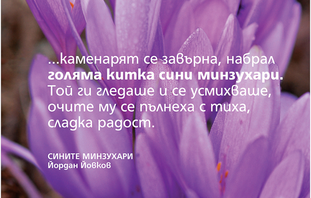 Минзухарът