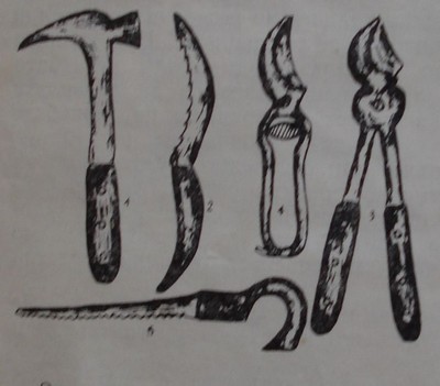 Необходими градински инструменти за подрязване