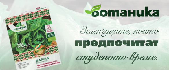 Зеленчукови сортове за ранна сеитба 