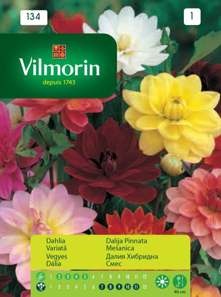 Далия хибридна смес