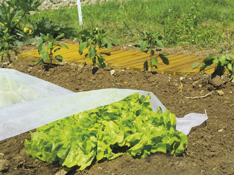 Покривало за ранни култури 3,2 x 5 CLIMATIC 17