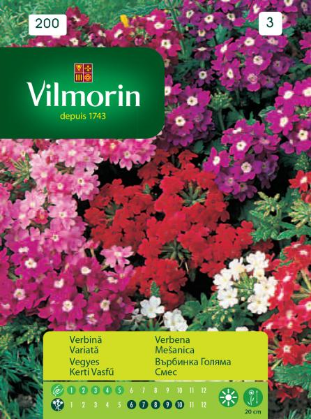 Върбинка голяма 