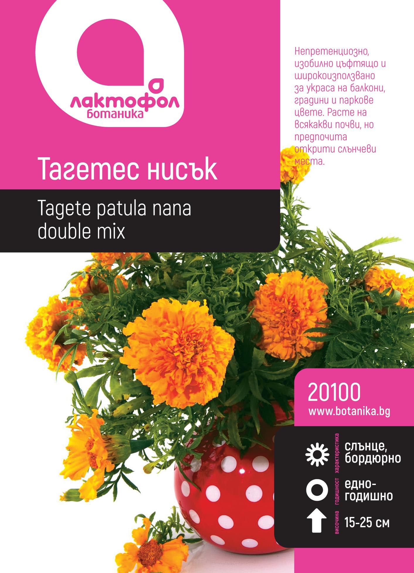 Тагетес нисък