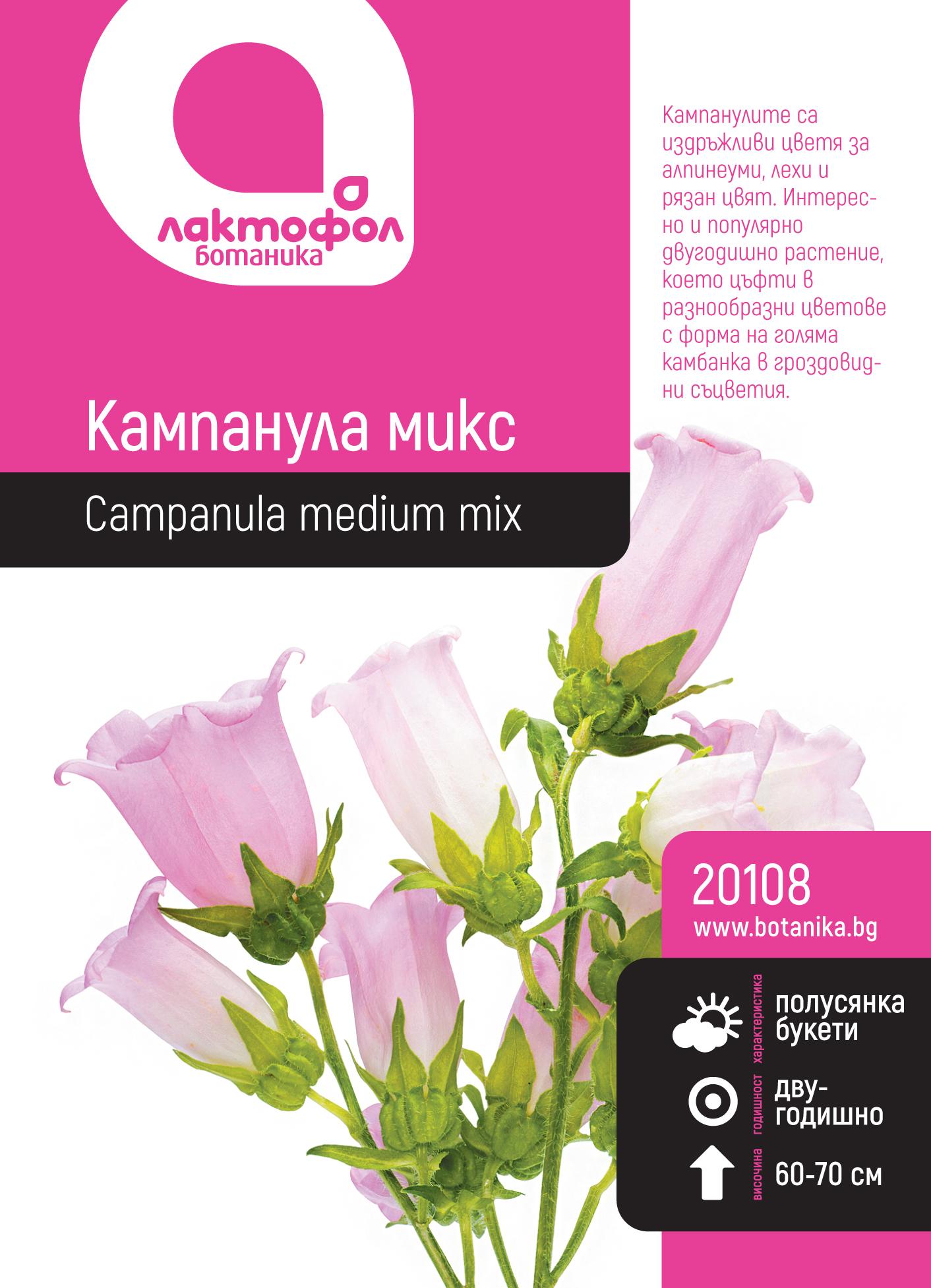 Кампанула микс