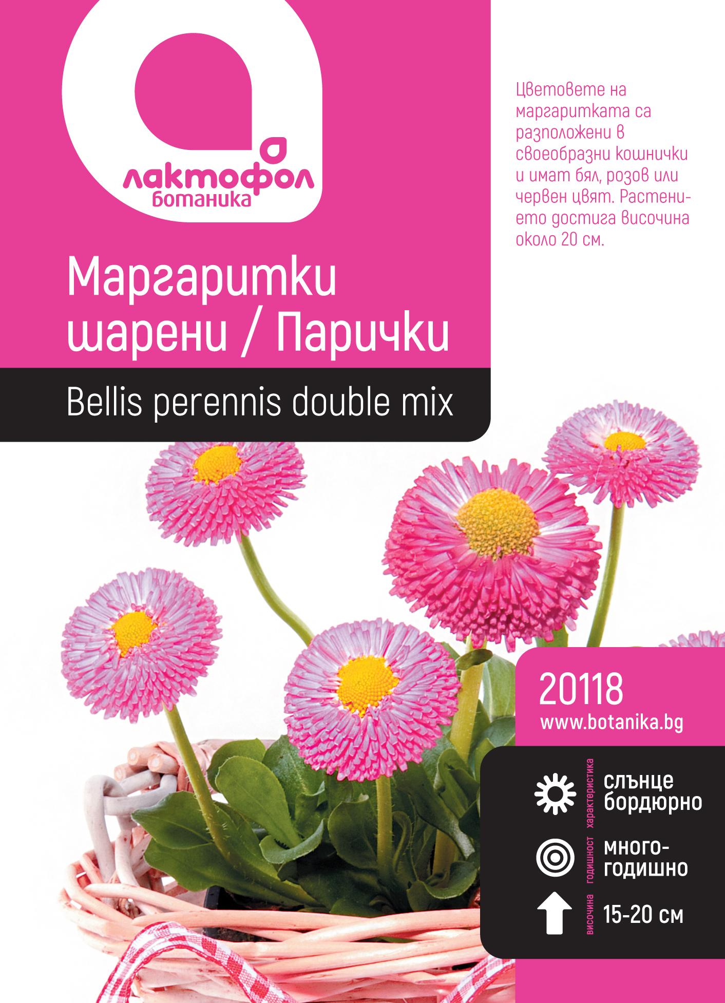 Маргаритки шарени / Парички