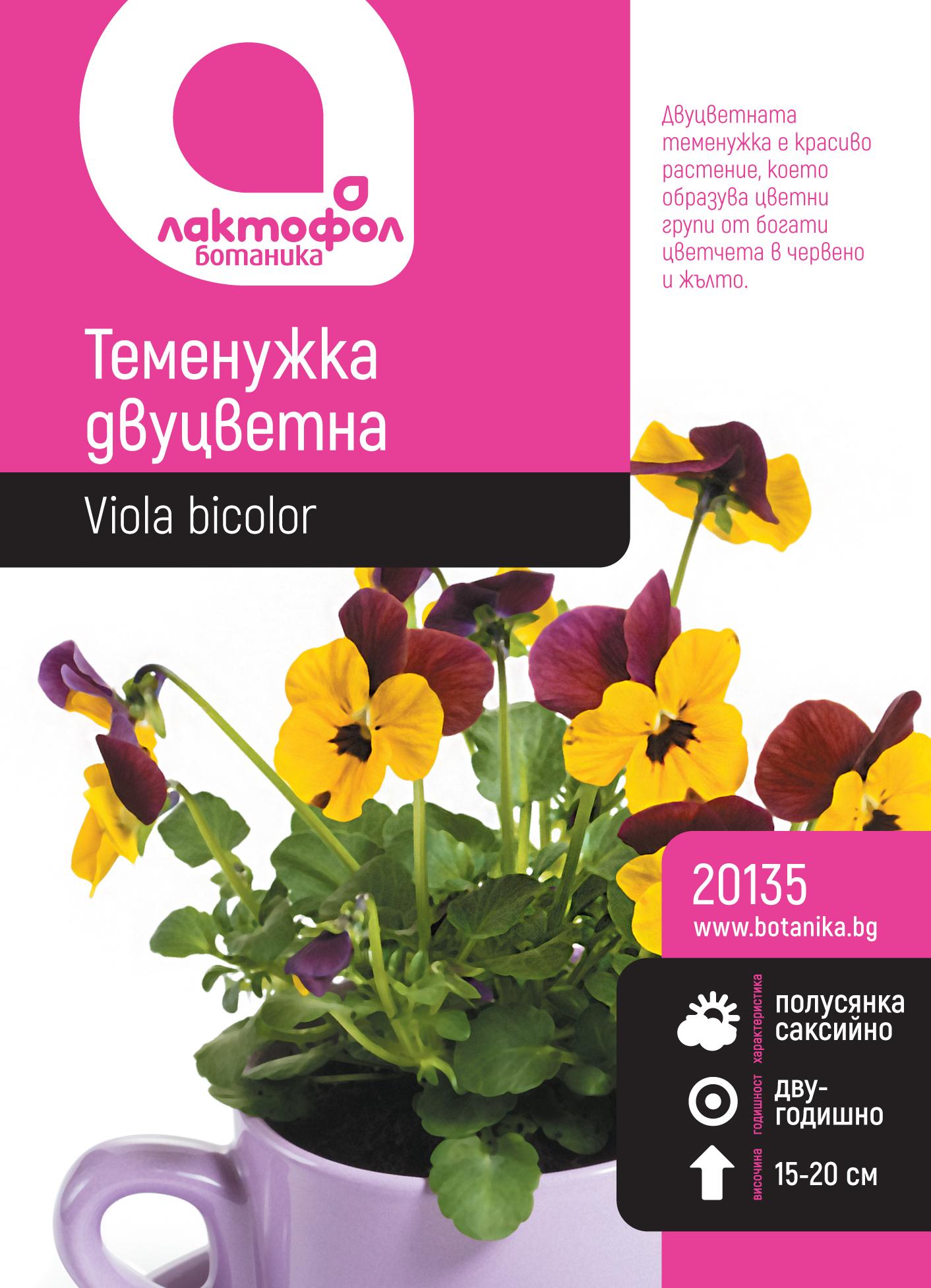 Теменужка двуцветна