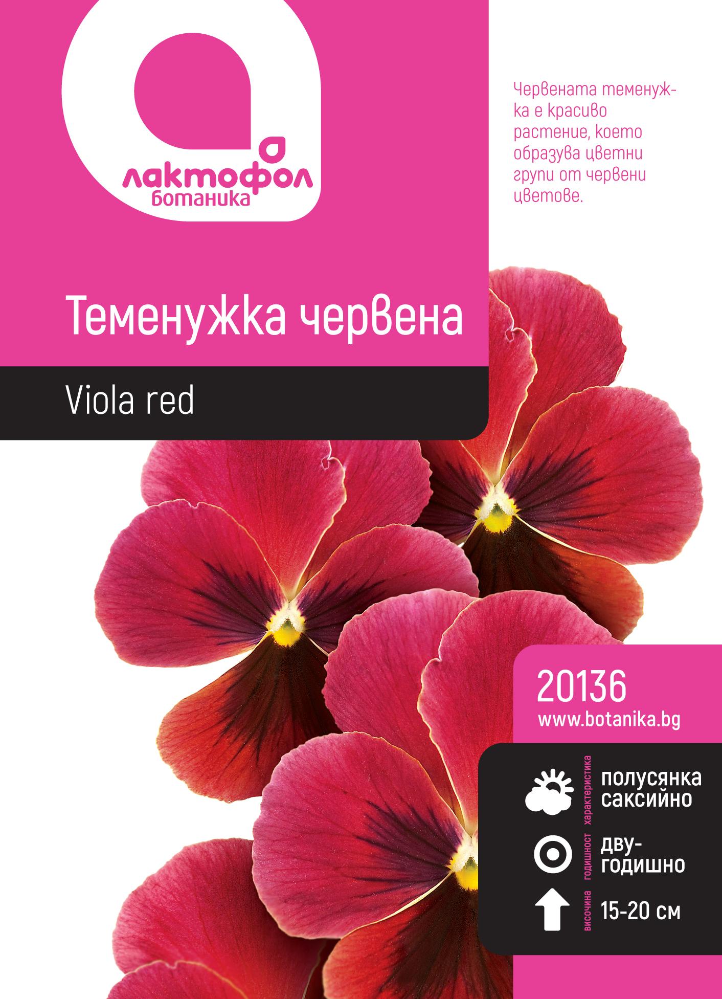 Теменужка червена