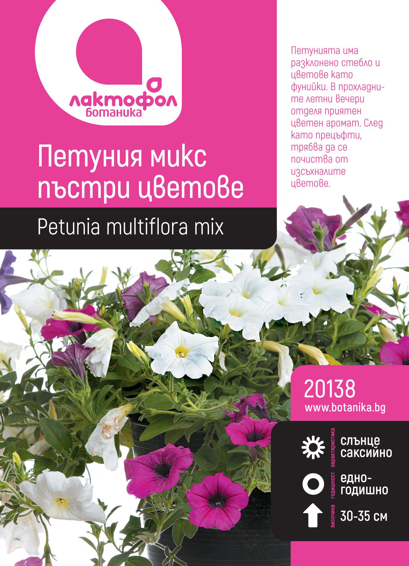 Петуния микс пъстри цветове