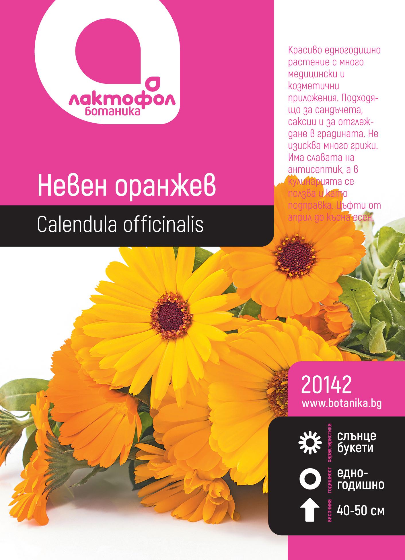 Невен оранжев