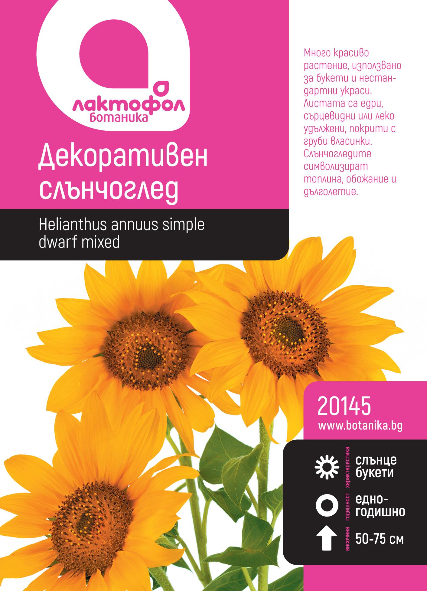 Декоративен слънчоглед