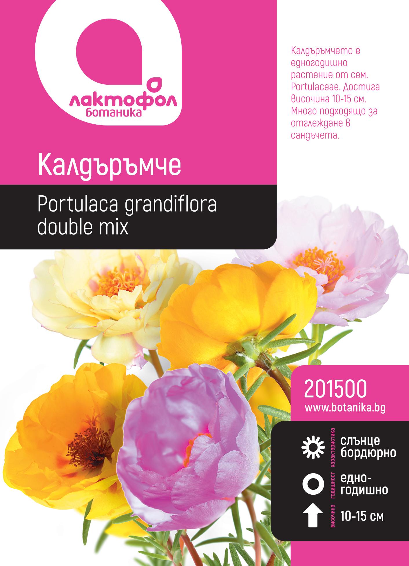 Калдъръмче