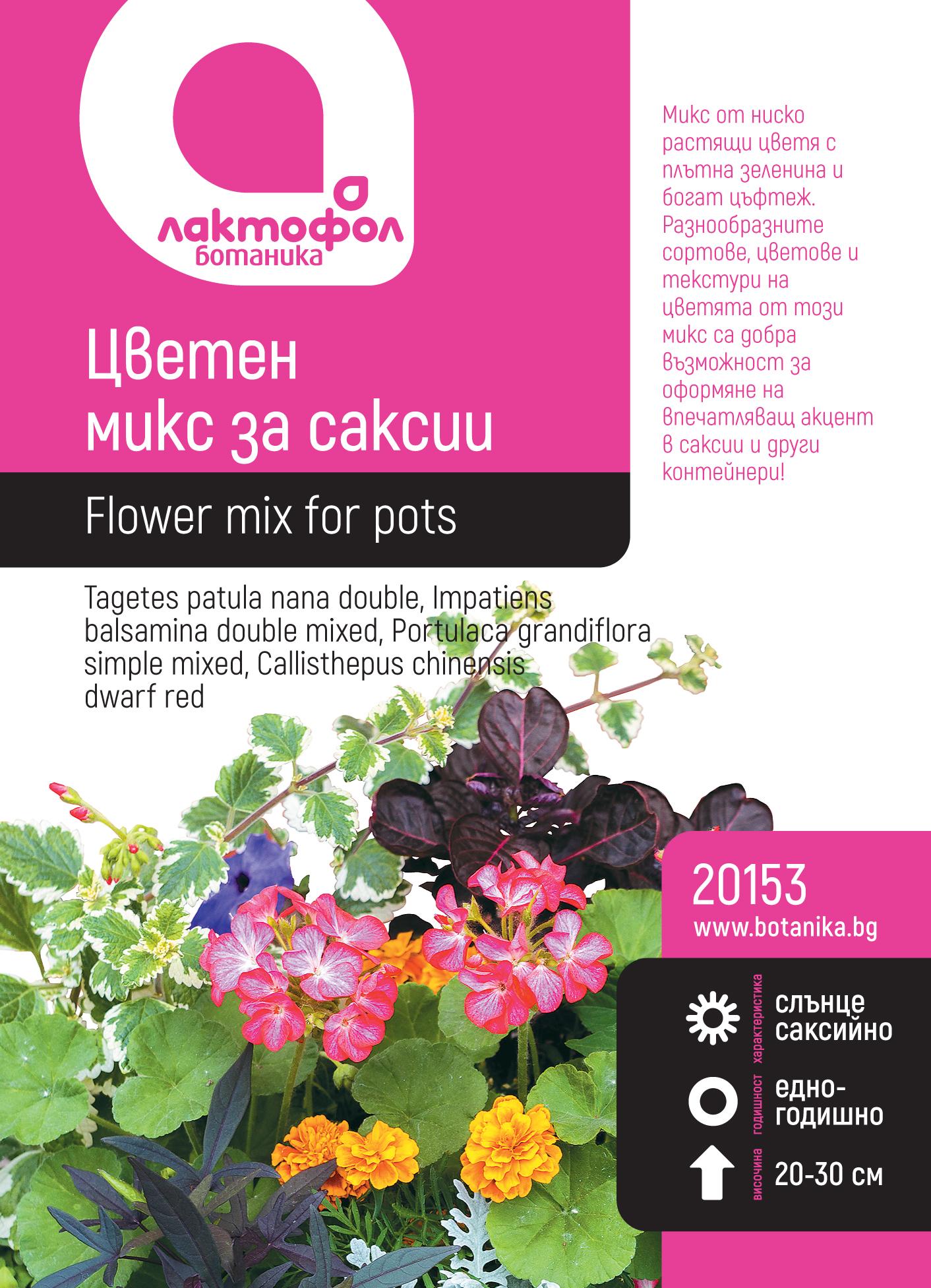 Цветен микс за саксии