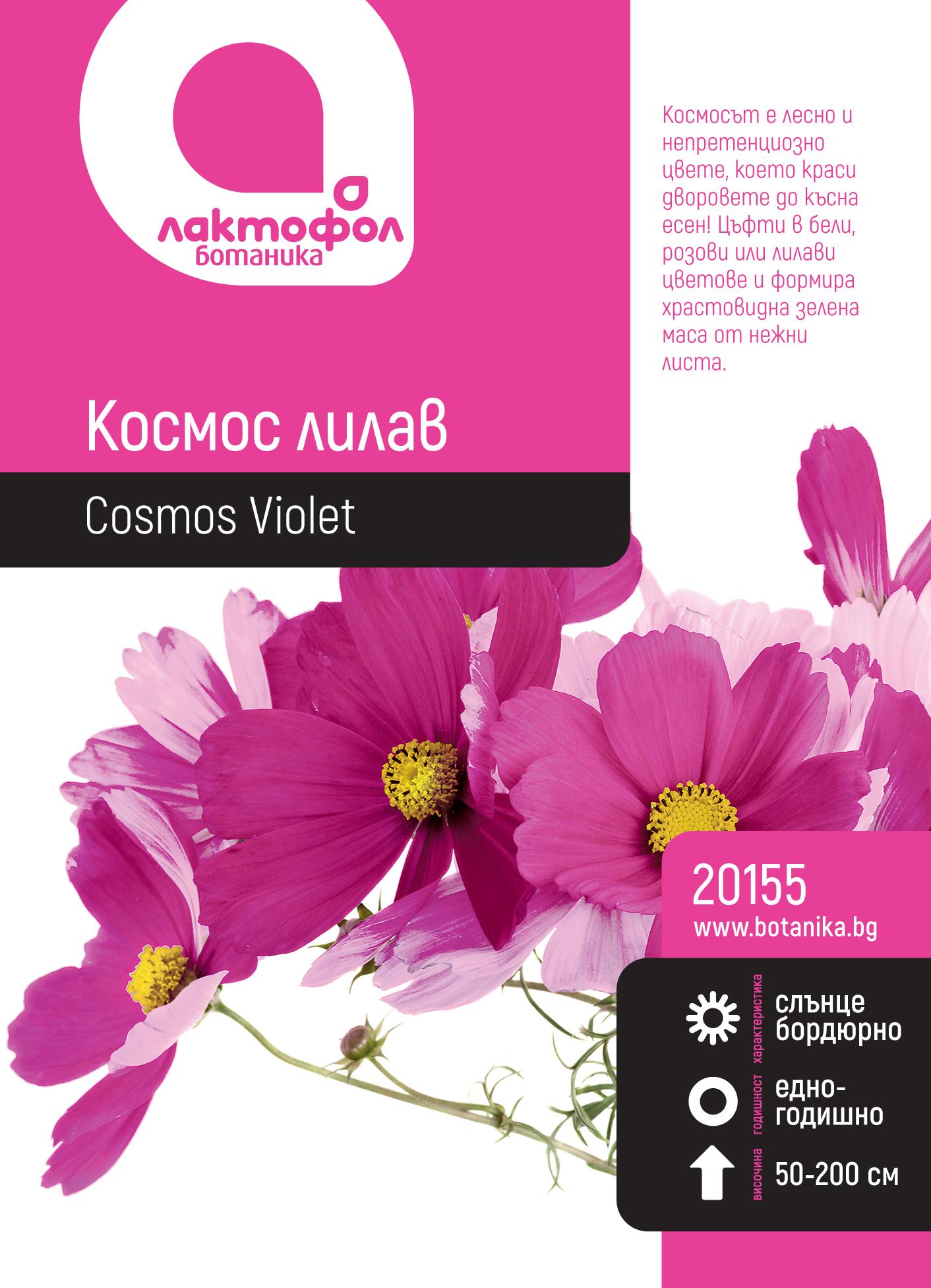 Космос, лилав