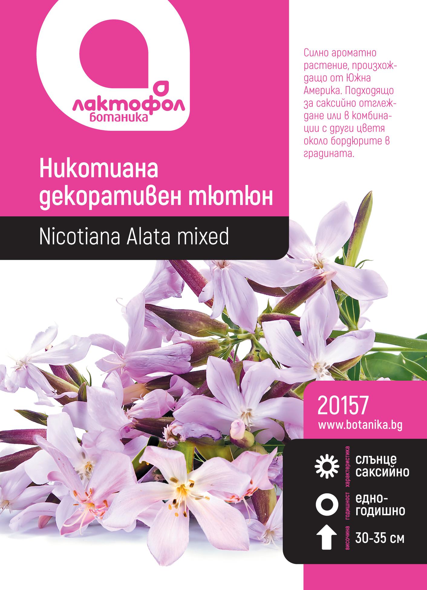 Никотиана декоративен тютюн