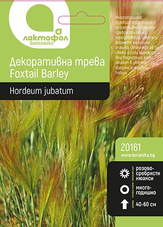 Лактофол БОТАНИК Декоративна трева Foxtail Barley