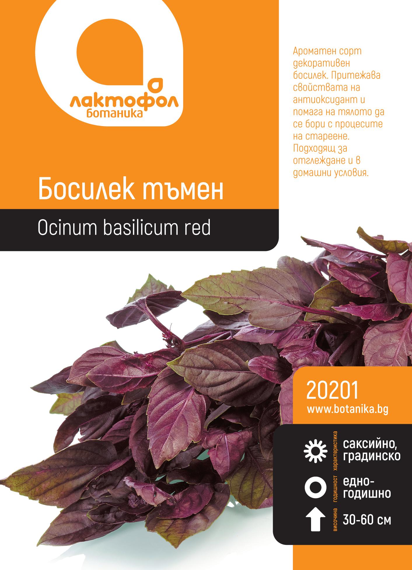 Босилек тъмен