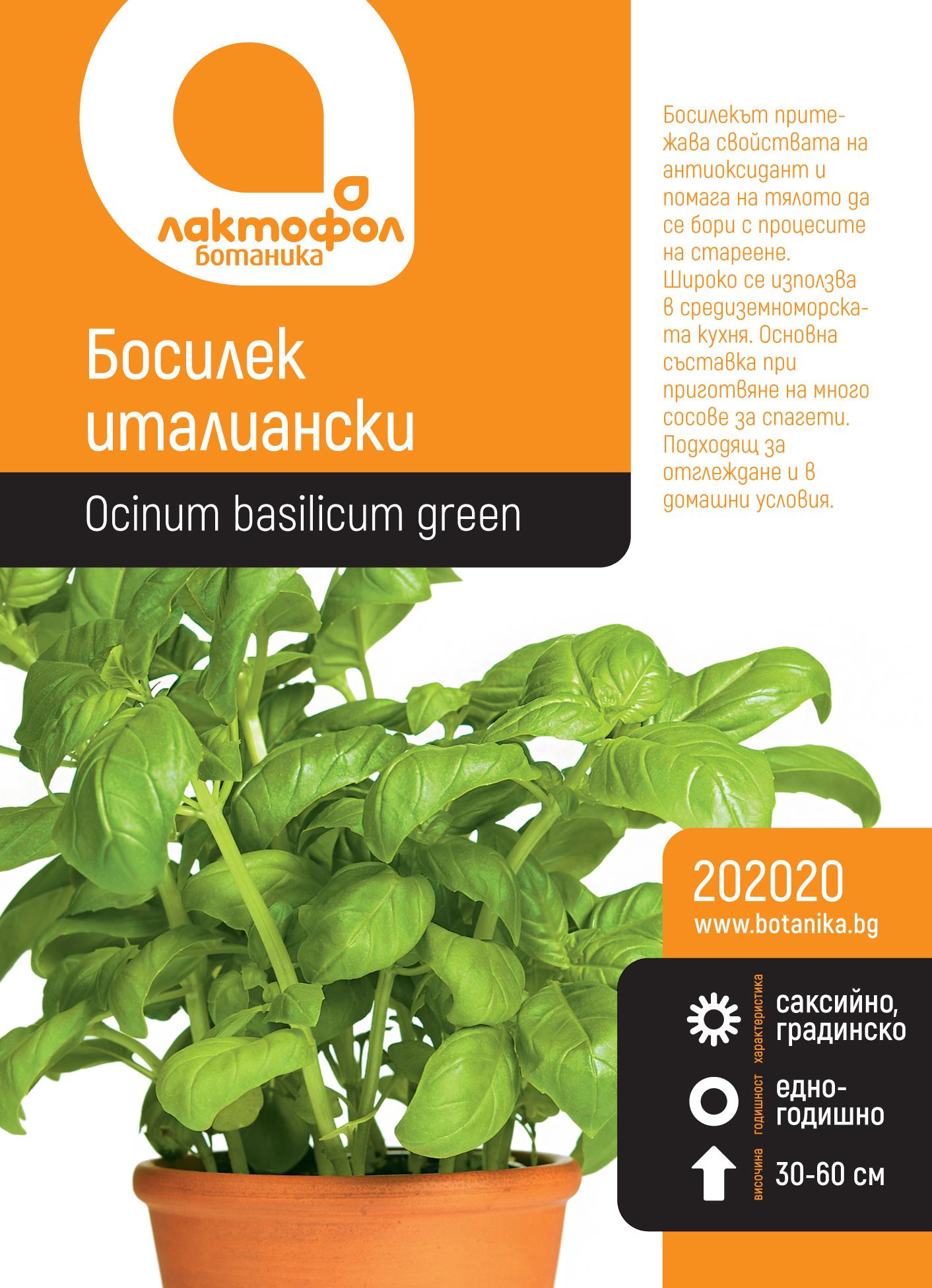 Босилек италиански