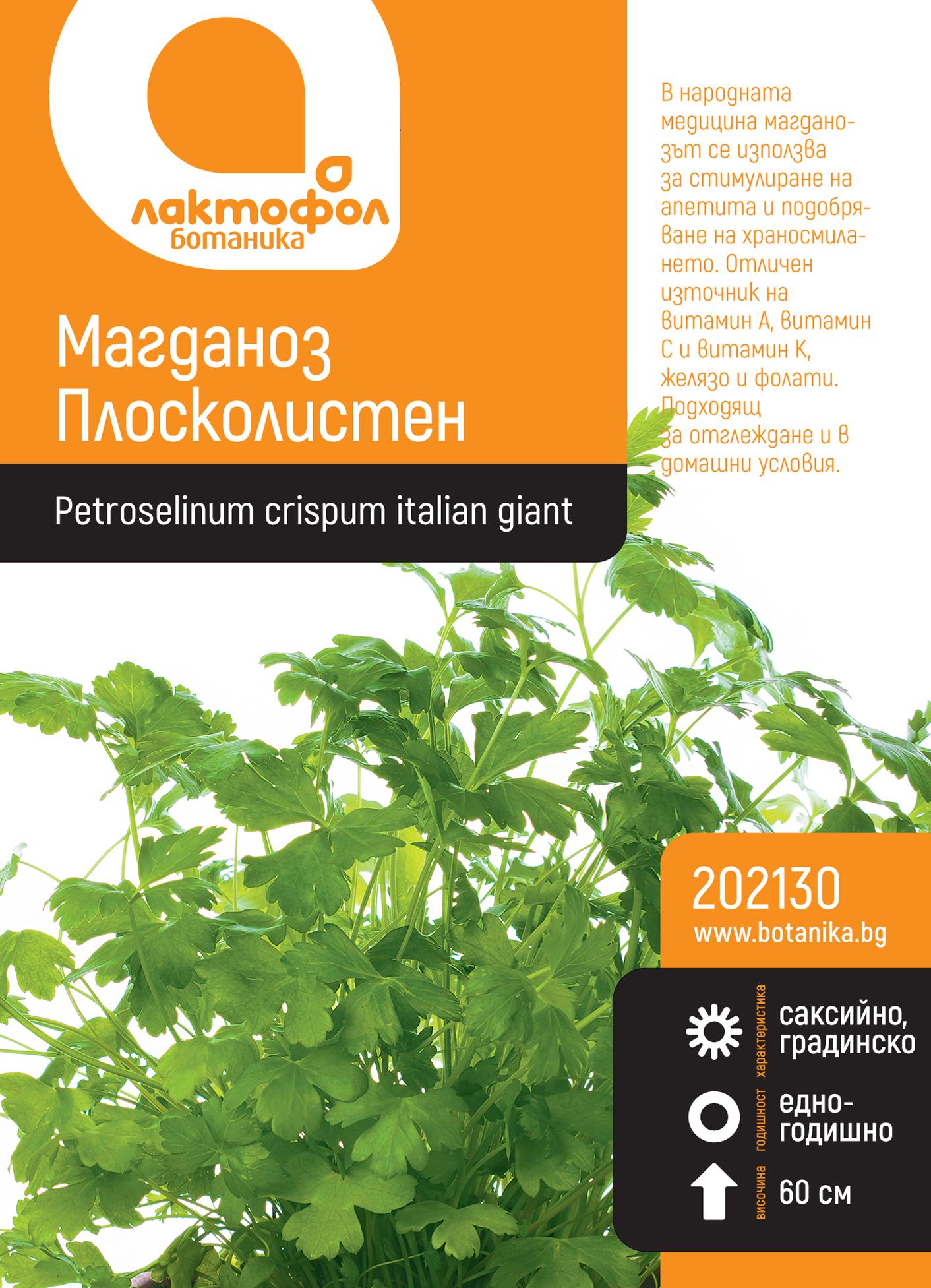 Магданоз Плосколистен