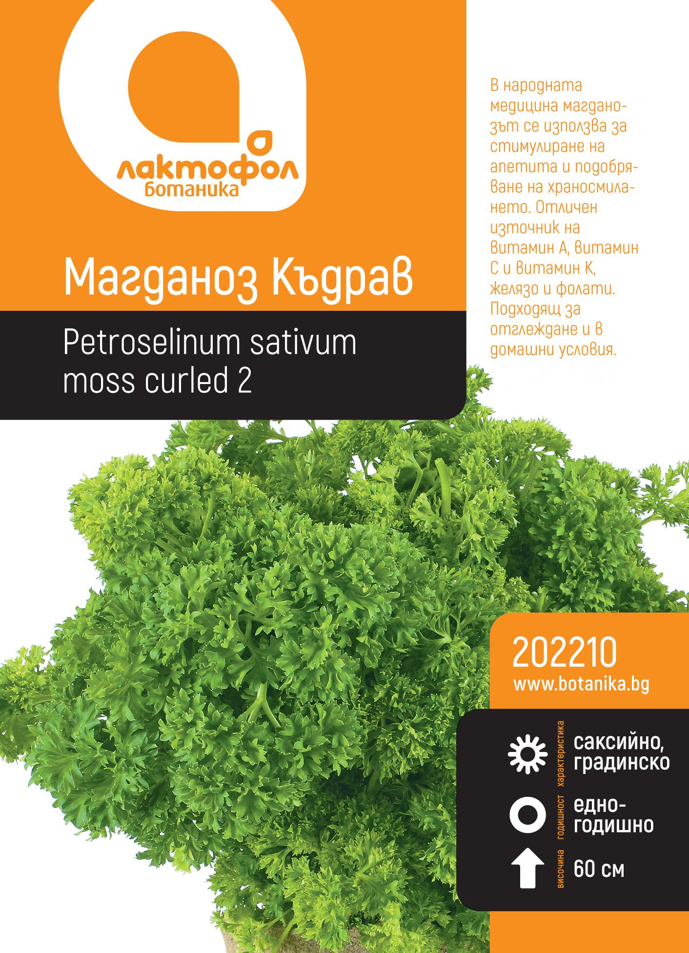 Магданоз Къдрав