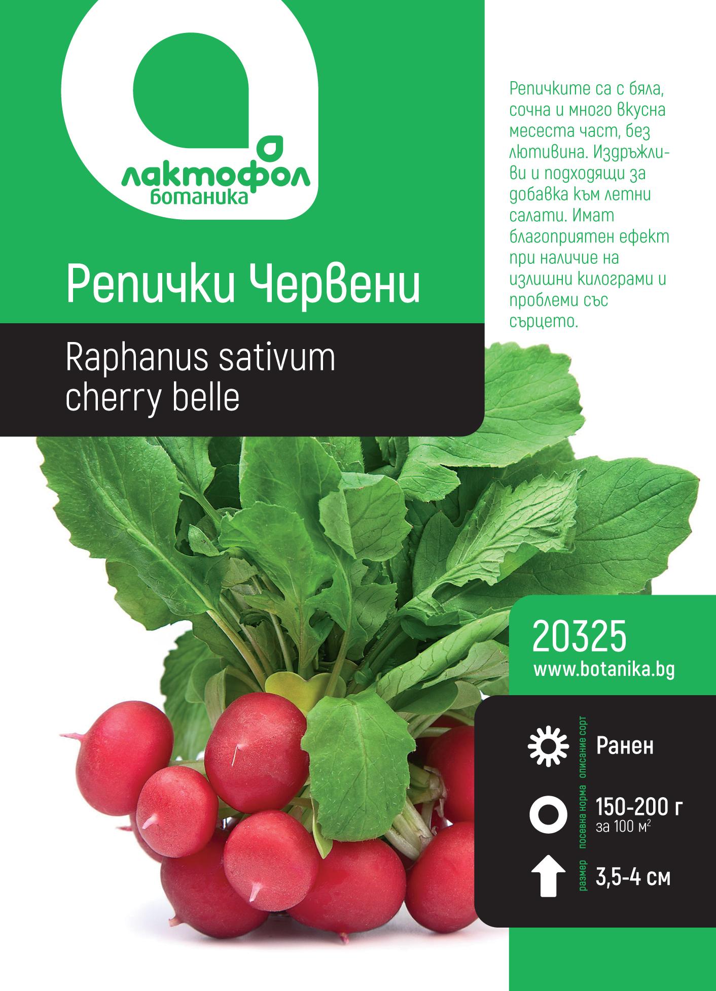 Репички Червени