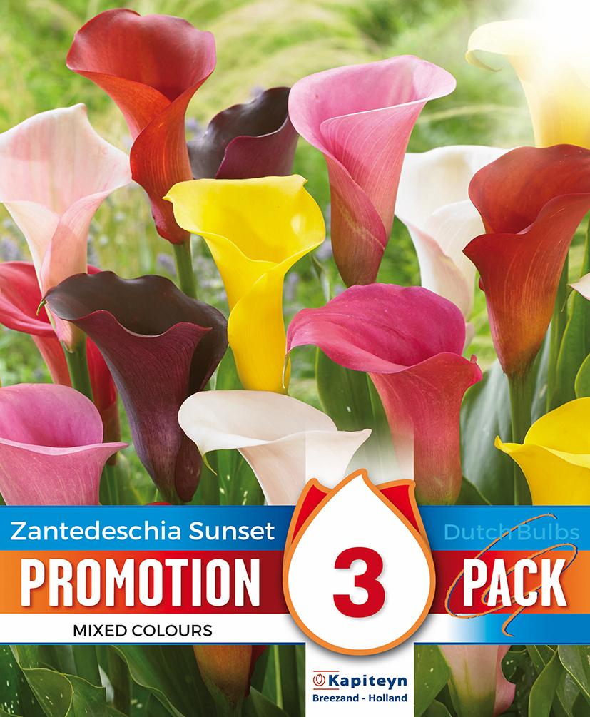 Промо Кала Sunset Mixed Colours 3 бр.
