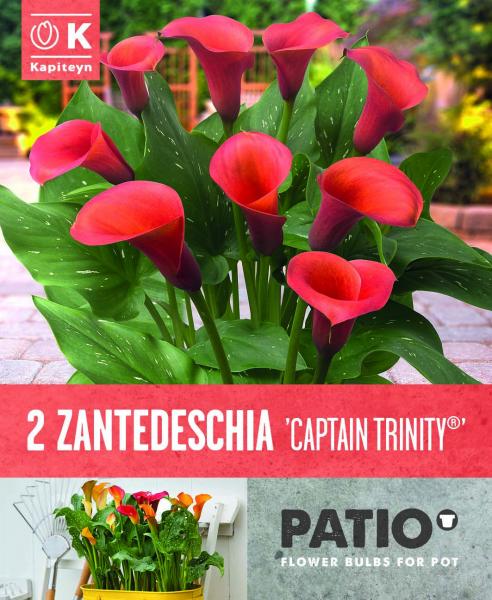 Балконски - Кала Captain Trinity 2 бр.