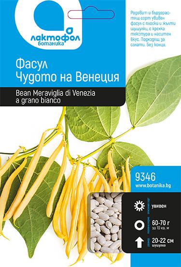 Фасул Чудото на Венеция