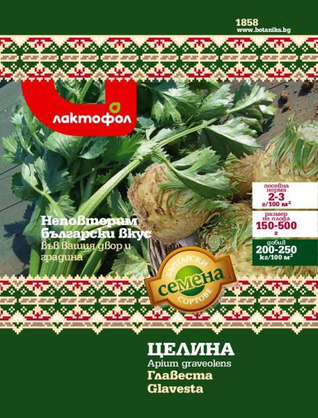 Целина главеста