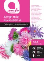 Астра пълноцветна микс / Богородичка
