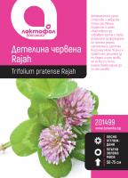 Детелина червена