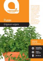 Риган