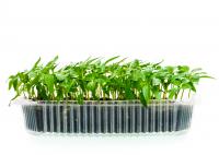 Тавичка за отглеждане на микро растения