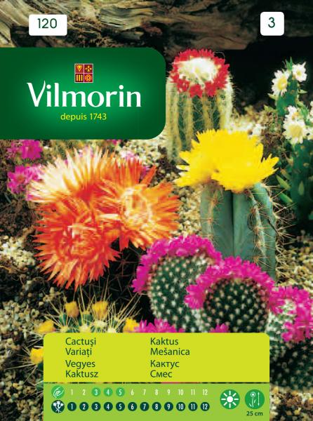 Кактус смес