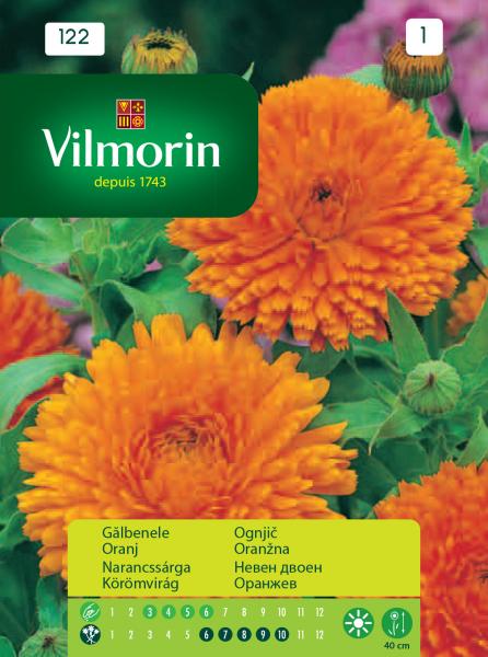 Календула Orange King