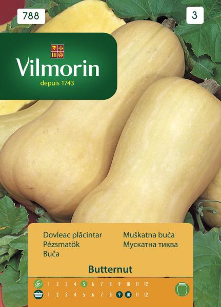 Тиква Waldham Butternut